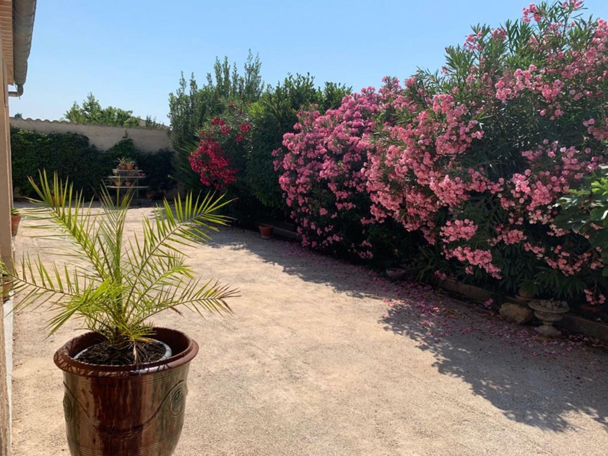 Appartement Salvaterra Sauveterre  Exteriér fotografie